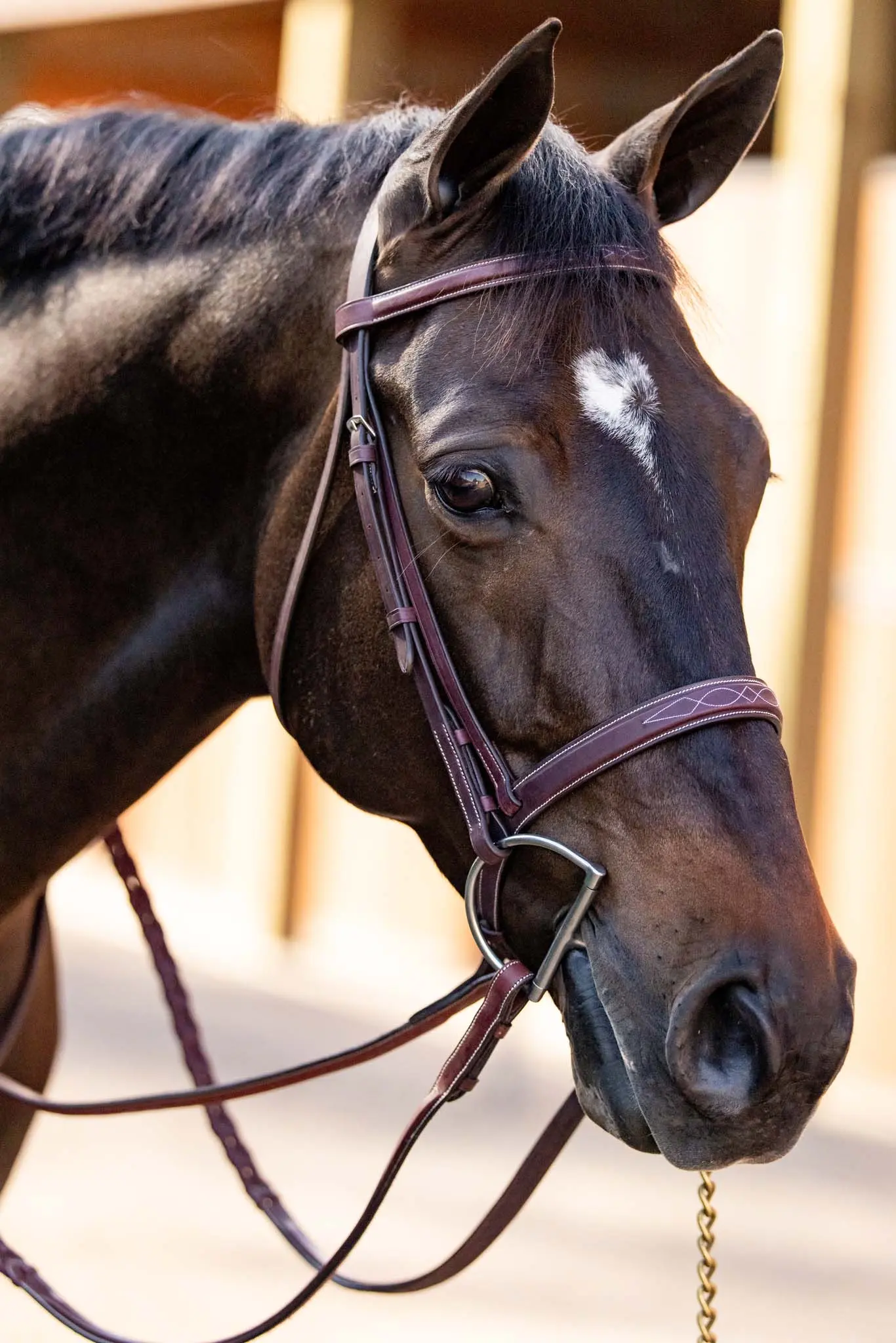 Huntley Equestrian Fancy Stitched Schooling Hunter Bridle with Reins - Image 2