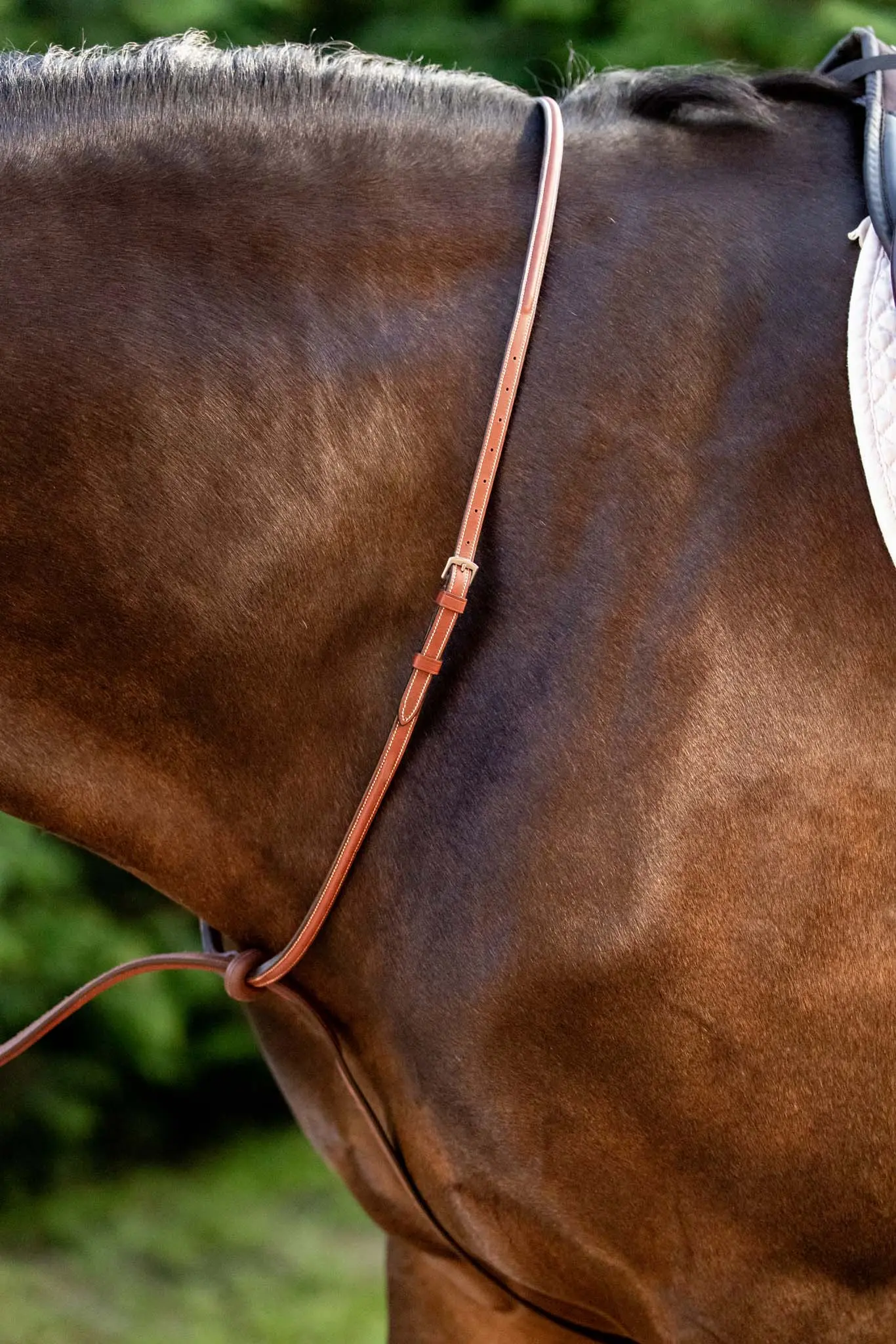 Huntley Equestrian Schooling Standing Martingale, Italian Leather - Image 2