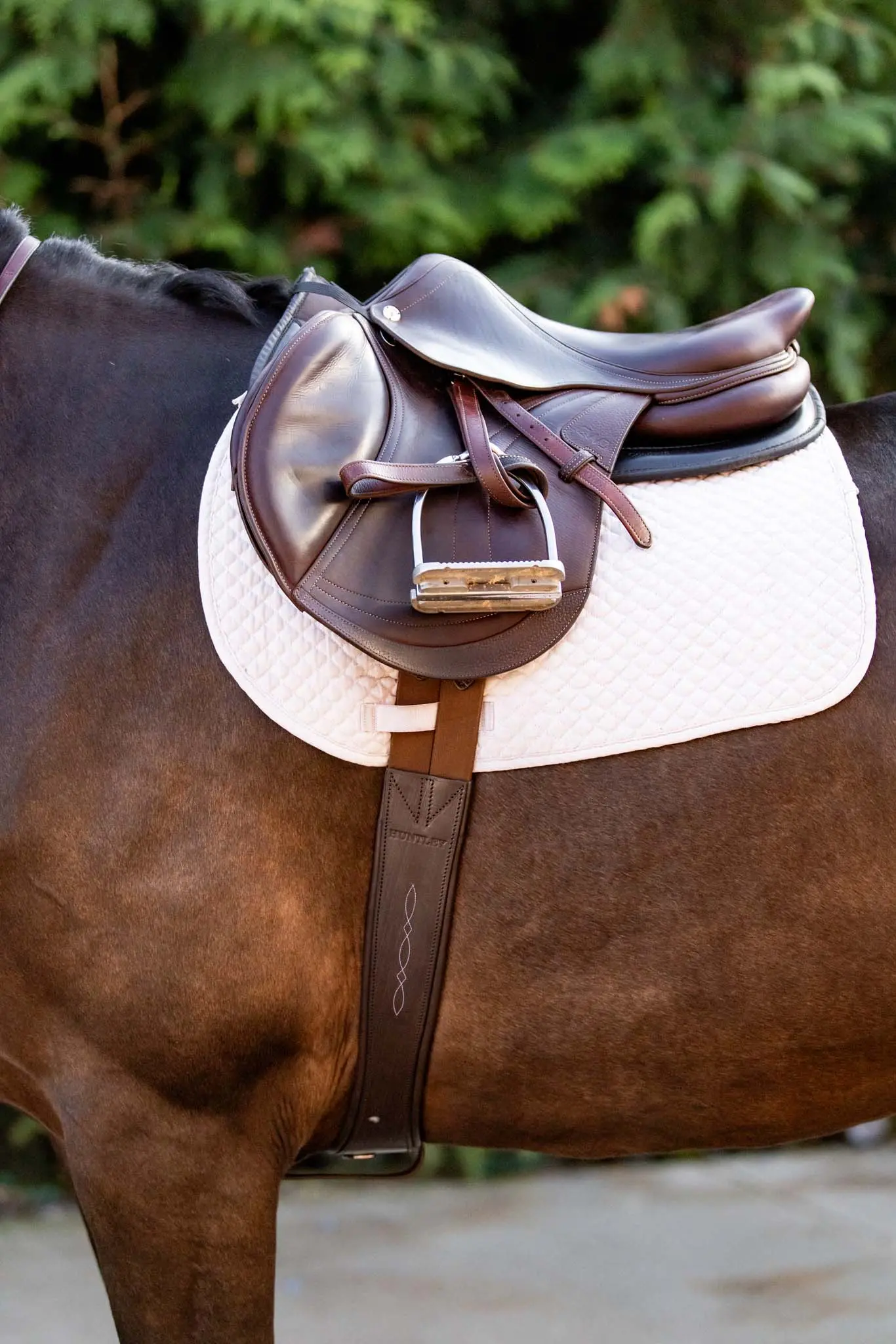 Huntley Equestrian Sedgwick Leather Fancy Stitched Padded Leather Contour Shaped Girth with Double End Elastic - Image 2